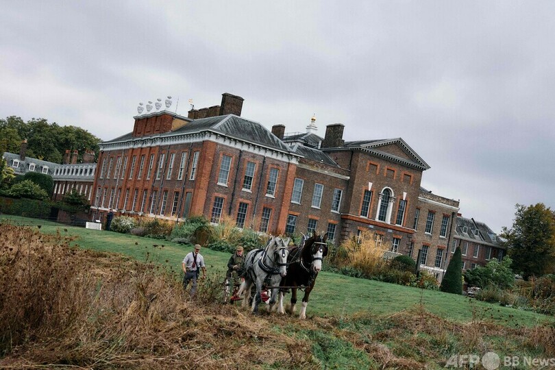 英ケンジントン宮殿の草刈りは馬にお任せ 持続可能な伝統手法