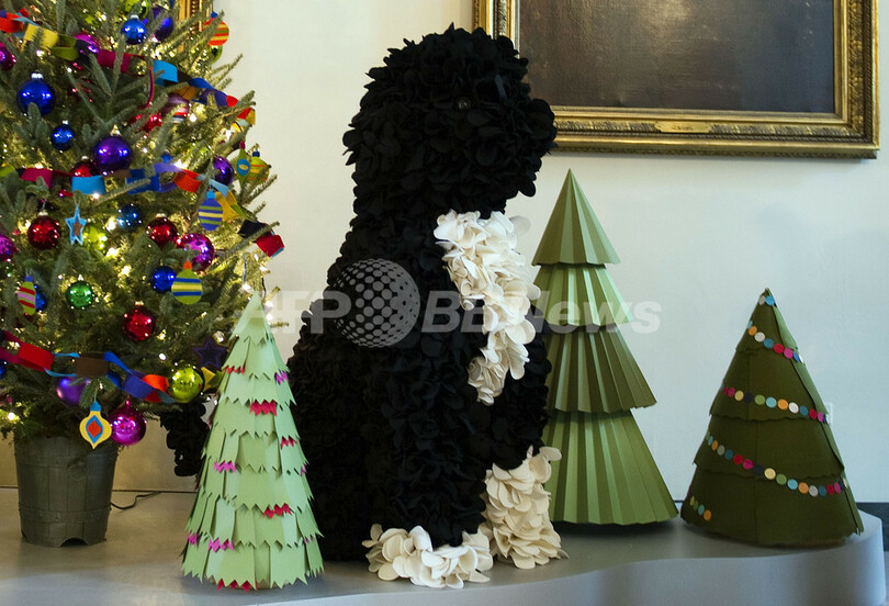 米ホワイトハウスのクリスマス、新しいツリーが点灯