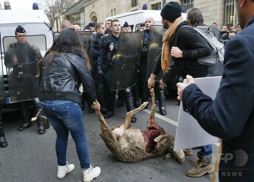 パリで羊飼いがデモ、オオカミ対策求め