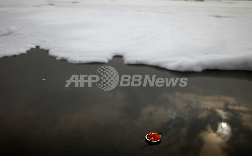 ガンジス川最大の支流、汚染で「死んだも同然」に