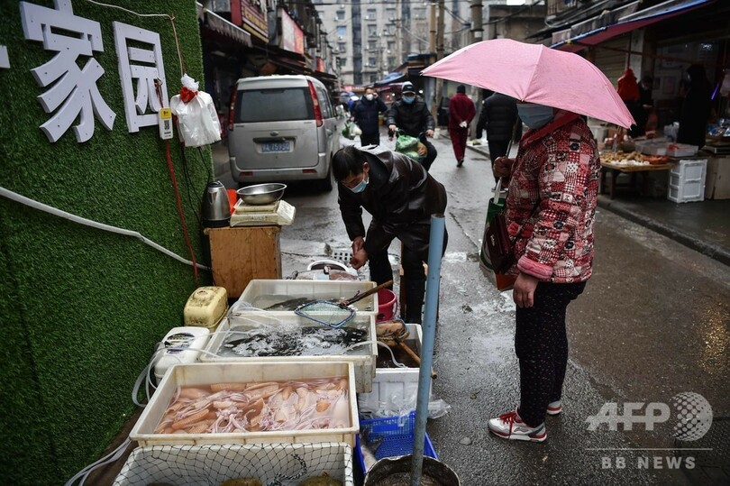 「武漢に取り残されたペットを救おう」SNS上で救援の呼び掛け、中国