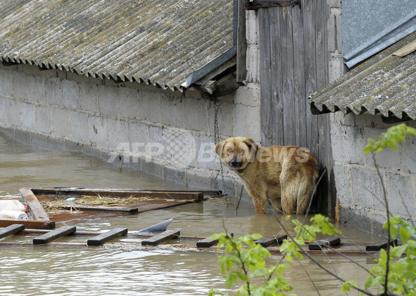 ポーランドの水害、死者15人に