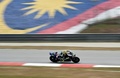 世界ロードレース選手権第17戦、マレーシアGP、MotoGPクラス決勝に臨むモビスター・ヤマハのバレンティーノ・ロッシ（2015年10月25日撮影）。(c)AFP/MANAN VATSYAYANA