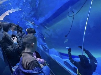 水族館で潜水士が溺死事故 中国鄭州