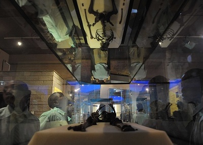 初期ヒト属、210万年前にアジアに存在か 石器年代測定