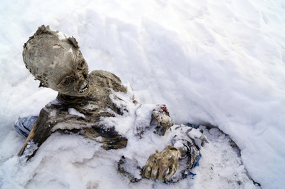 仏モンブランで遺体発見 50年以上前の墜落機乗客か 写真5枚 国際ニュース Afpbb News