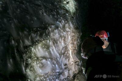 ギリシャ・アルバニア国境の洞窟に巨大クモの巣、約11万匹生息
