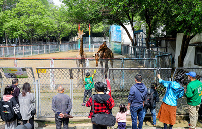 やっと会えたね！ 武漢動物園が見学再開、感染対策で制限も 中国