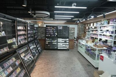 韓国でポケモンカード収集熱、専門店の売上高154％増…大人の来店も拡大