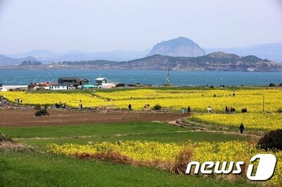 新型コロナで、また浮上した済州島 – KOREA WAVE
