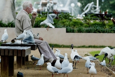 親から金をだまし取るのは娘より息子、豪調査