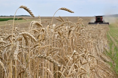 ポーランド、ウクライナと穀物輸入めぐり対立 互いの外交使節呼び出し