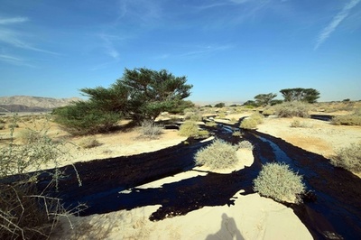 自然保護区内で原油漏出事故、イスラエル