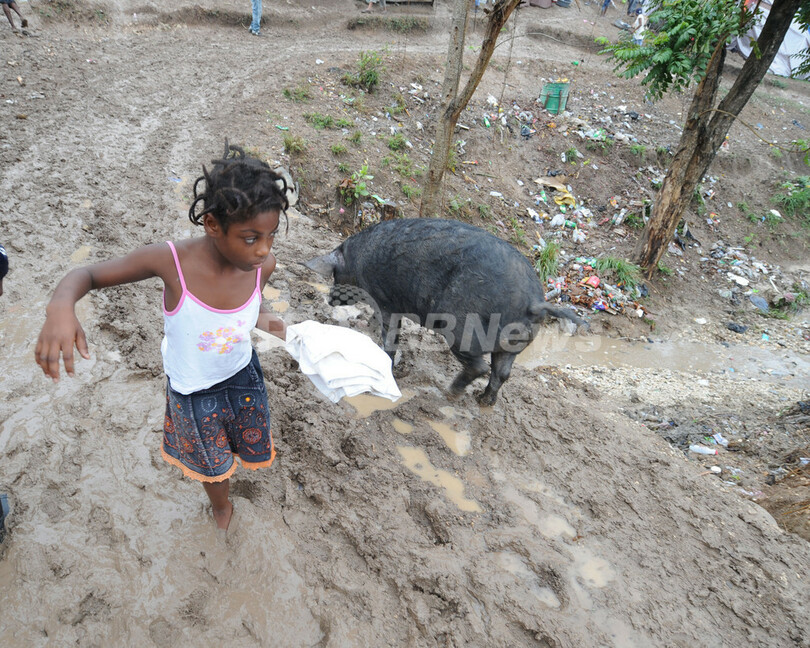 暴かれるハイチの秘密、国連派遣団の宿舎はクルーズ船