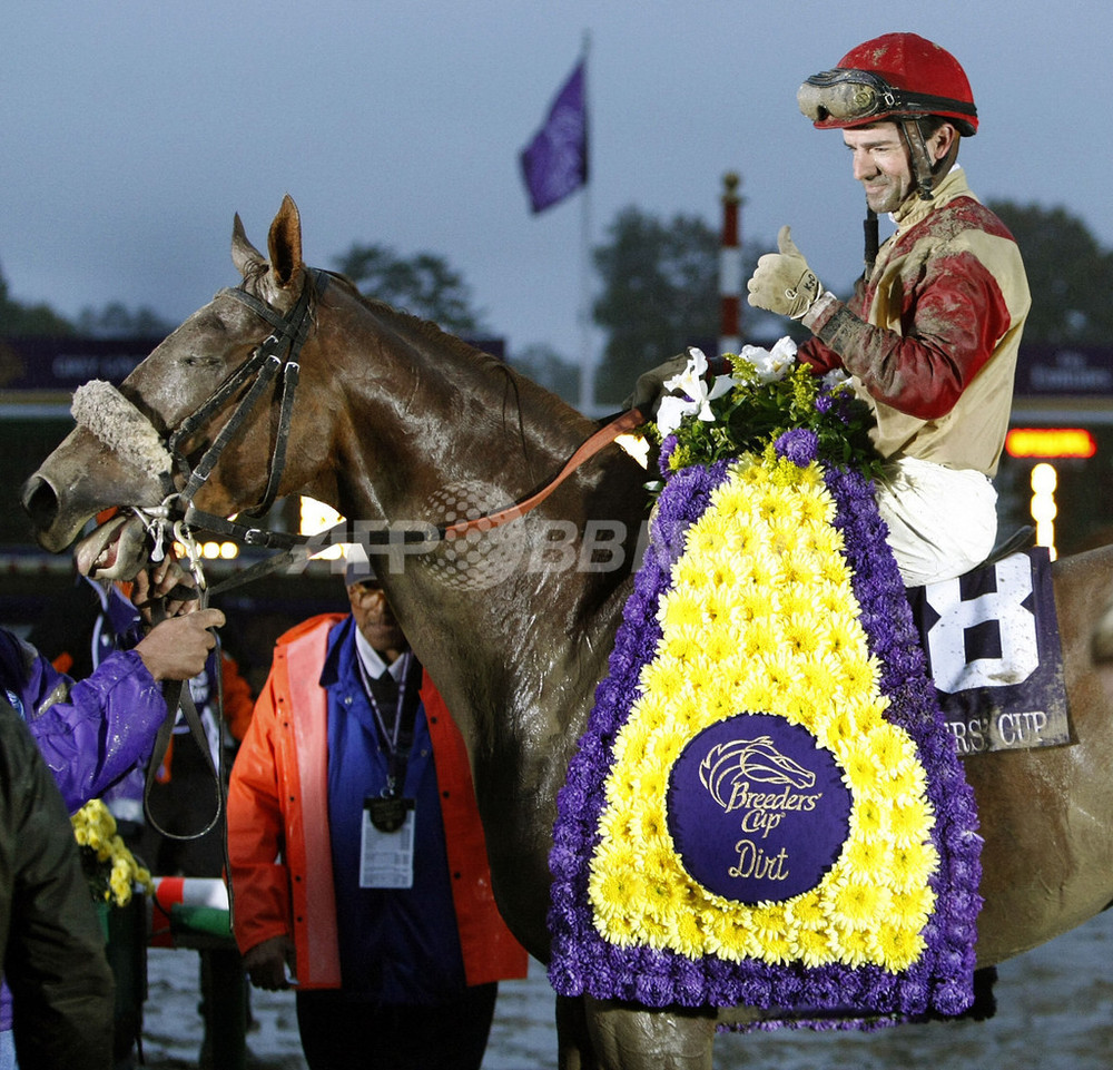 コリンシアン ガッチャゴールドを抑えbcダートマイル制す 写真3枚 国際ニュース Afpbb News