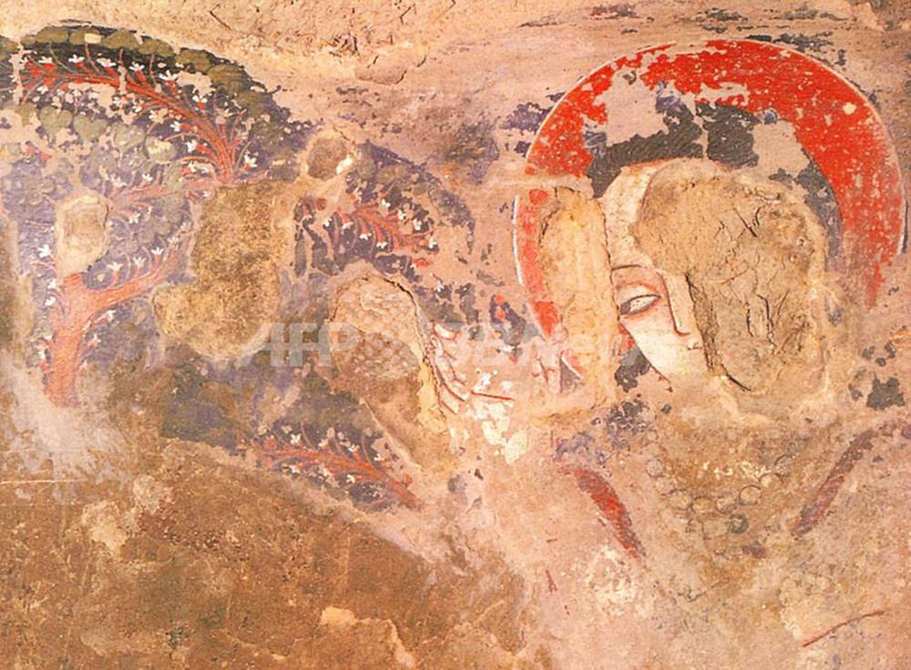 世界最古の油絵はバーミヤンの壁画 調査結果 写真1枚 国際ニュース Afpbb News