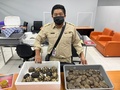 タイ・バンコク近郊スワンナプーム国際空港で押収された、ウクライナ人の女の手荷物から発見されたカメ。国立公園・野生動物・植物保全局（DNP）提供（2022年7月4日撮影、5日公開）。(c)AFP PHOTO / Thailand&apos;s Department of National Parks, Wildlife and Plant Conservation