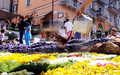 イタリア・ローマ（Rome）南部にあるジェンツァーノ（Genzano）で開催された、花びらじゅうたんの祭り「infiorata（インフィオラータ）」に出品された作品（2008年6月15日撮影）。(c)AFP/Tiziana Fabi