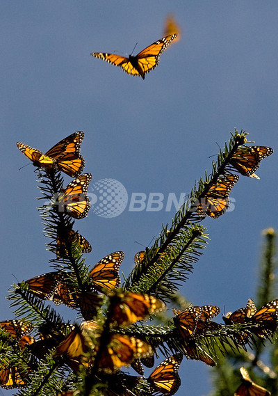 img_df3c7e1b7222f8b5a7a54469ab