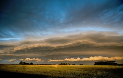 地球温室化を防ぐ「層積雲」、温暖化で消失の可能性 劇的な気温上昇の恐れ