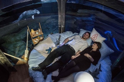 水槽に「民泊」！？サメに囲まれて一夜を 仏パリ