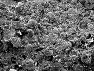 台湾南部に降り注ぐ謎の粉、その正体は？