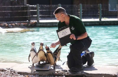 「1匹ずつ順番だよ」 ロンドン動物園で恒例の身体測定