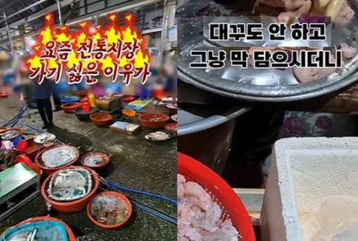 「魚の首を切られ、断れなかった」…韓国・伝統市場の“押し売り”接客に批判集中