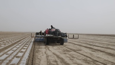 動画:テクノロジーが支援する綿花の播種 中国新疆ウイグル自治区