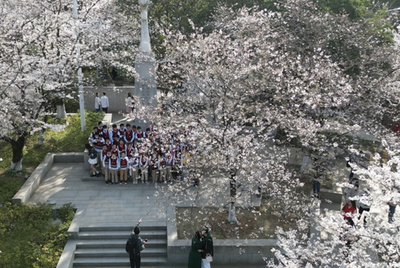 武漢や北京などで花見シーズン到来