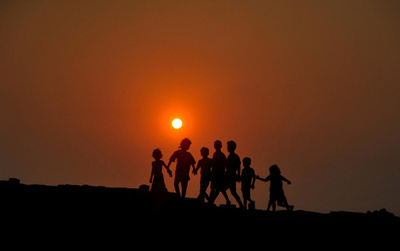 地球史上6回目の大量絶滅、すでに突入か 研究