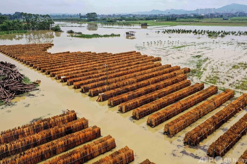 中国南部、豪雨による洪水 田畑や製材所が冠水