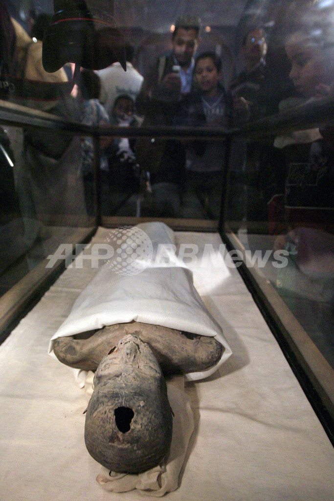 ツタンカーメン王はマラリアで死亡、アクエンアテン王が父 ついになぞが明らかに