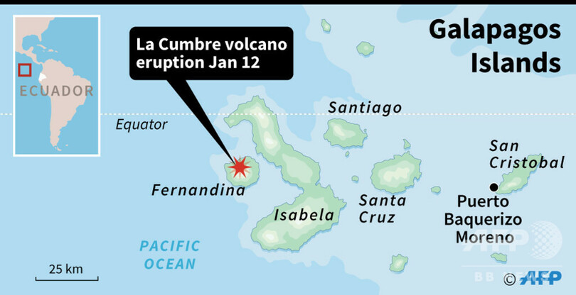ガラパゴス諸島で火山噴火 生態学上の重要地域に溶岩流出 写真1枚 国際ニュース Afpbb News