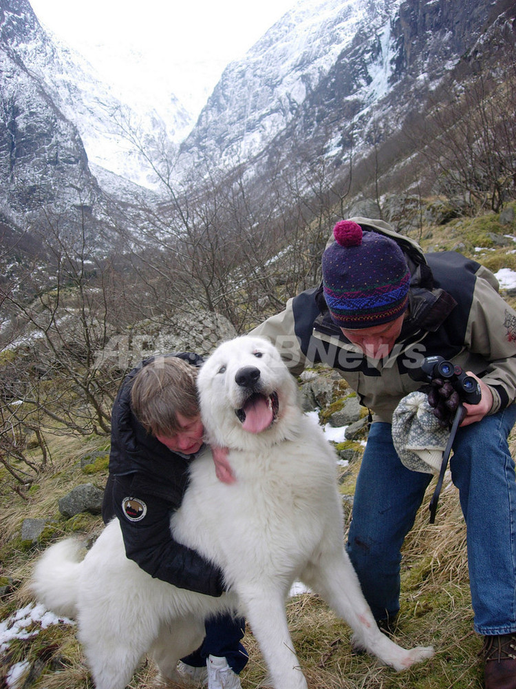 ノルウェー版 がけっぷち犬 無事救出 写真2枚 国際ニュース Afpbb News