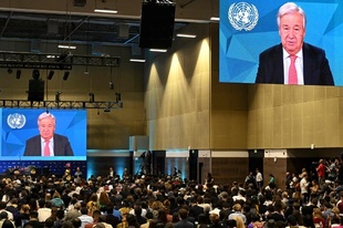 国連事務総長、生物多様性保護へ大口拠出を COP16控えメッセージ