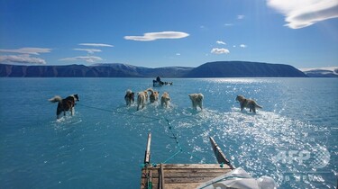 氷床と万年雪などで有名な世界最大の島グリーンランド 99年前のシロクマさんの硬貨 氷床と万年雪などで有名な世界最大の島グリーンランド 99年