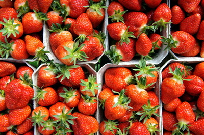 イチゴに縫い針混入事件、容疑者は農園の元管理人 豪警察