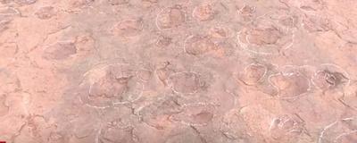 恐竜ダンスホールが福建省上杭県に登場