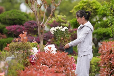 上海の墓地の平均価格が最高に、清明節の概念株の墓穴の販売価格が6年連続上昇