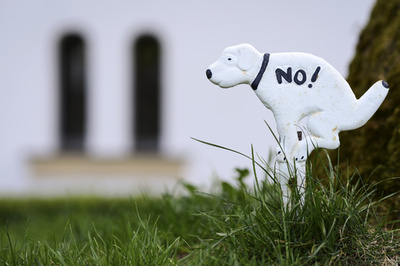 中国、スペインの風刺番組を「侮辱」と非難