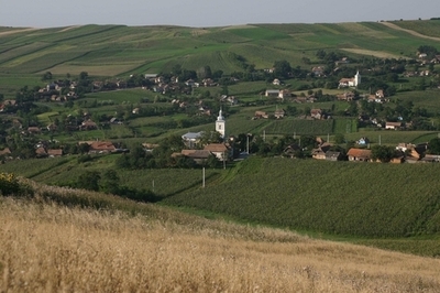 村長選挙当日に死亡した候補者が当選、ルーマニア