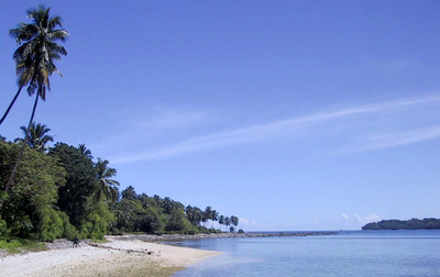 印アンダマン・ニコバル諸島沖で観光船転覆、21人死亡