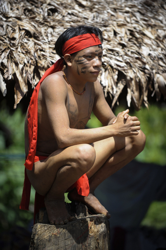 真偽不明のベネズエラ先住民虐殺、政府の取材ツアーで見えたもの