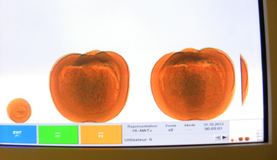 カナダ空港で手荷物のカボチャから麻薬、ハロウィーンの日