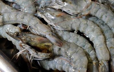 環境に最も高くつくメニューは「小エビのカクテル」