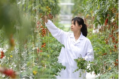 スマート農業で村おこしを推進