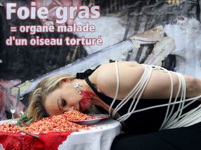 PETA、フォアグラの生産方法に抗議