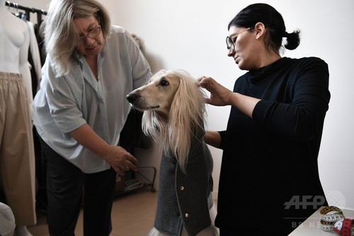 ミラノでは犬もオートクチュール! 飼い主とおそろいも ミラノでは犬もオートクチュール! 飼い主とおそろいも