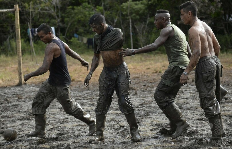コロンビア内戦終結へ、和平に湧く左翼ゲリラ野営地